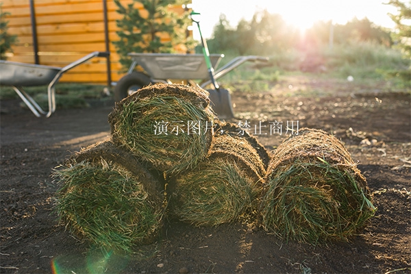 生产基地图片