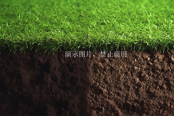生产基地图片