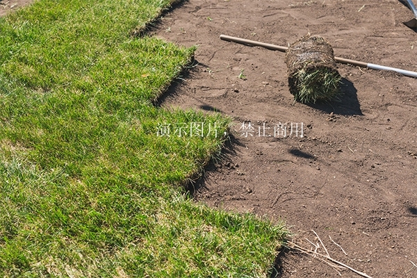 生产基地图片
