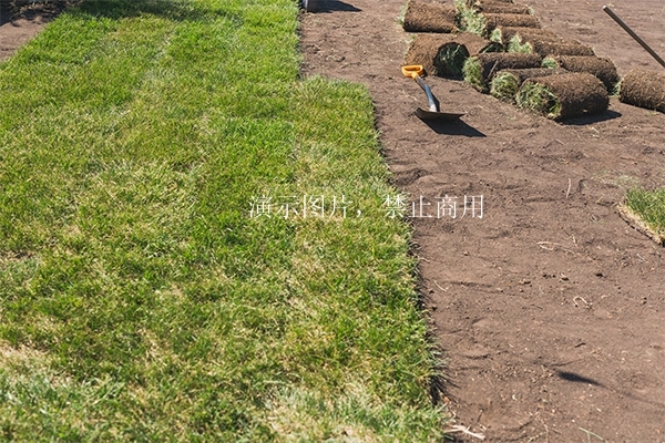 生产基地图片