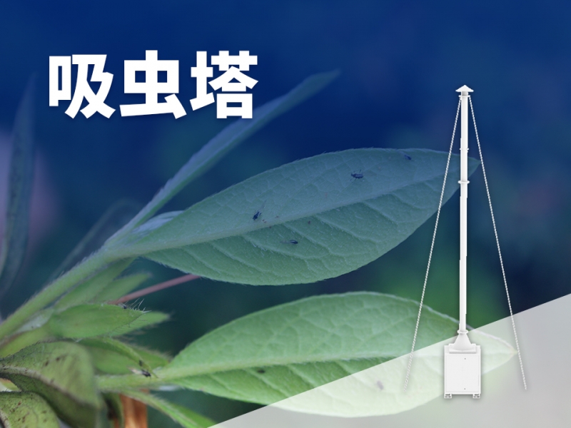 吸虫塔